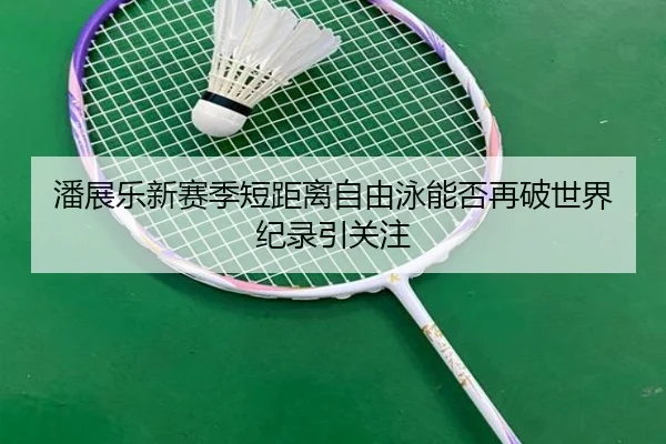 潘展乐新赛季短距离自由泳能否再破世界纪录引关注